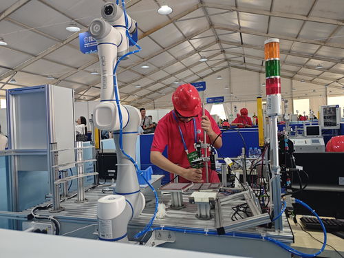 河南省第三屆職業(yè)技能大賽在開封開幕，技術服務引領未來